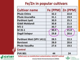 Options for enhancing grain iron and zinc concentrations in sorghum