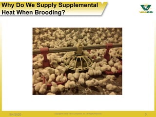 Options for Heating Poultry Houses | PPTX