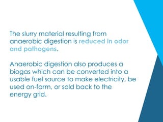 The slurry material resulting from
anaerobic digestion is reduced in odor
and pathogens.
Anaerobic digestion also produces a
biogas which can be converted into a
usable fuel source to make electricity, be
used on-farm, or sold back to the
energy grid.
 
