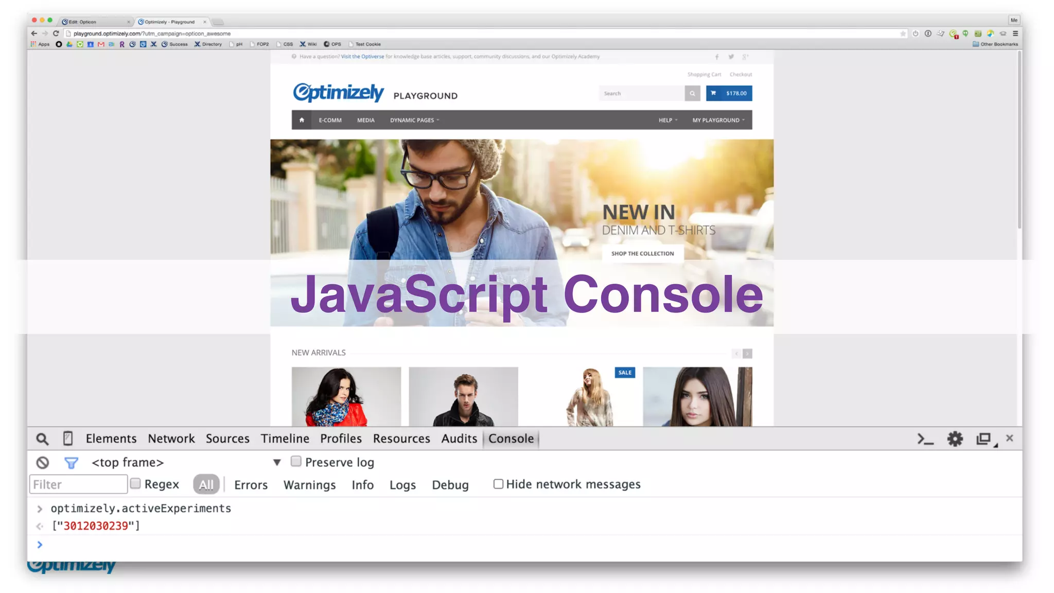 JavaScript Console