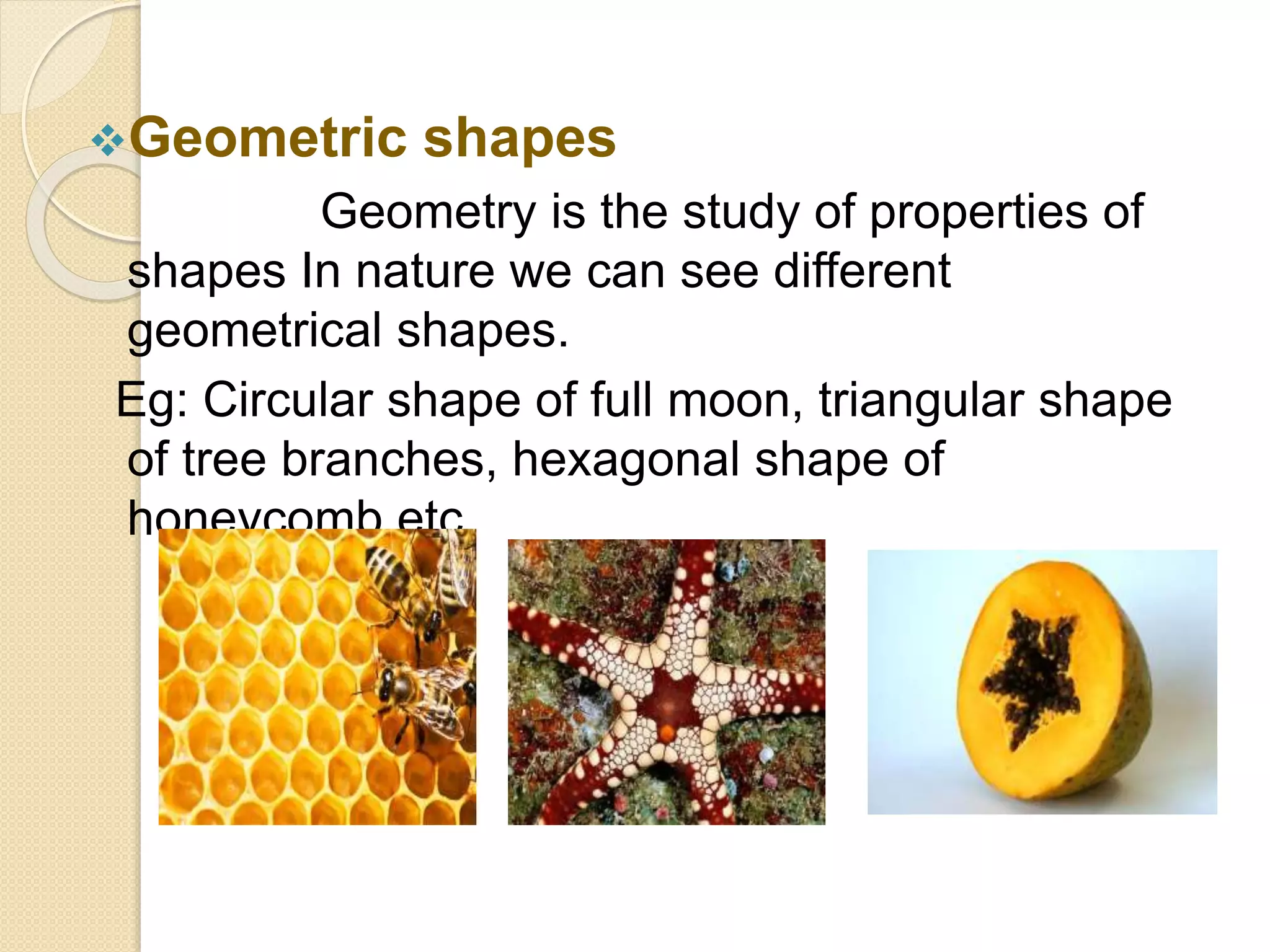 Geometric shapes
Geometry is the study of properties of
shapes In nature we can see different
geometrical shapes.
Eg: Circular shape of full moon, triangular shape
of tree branches, hexagonal shape of
honeycomb etc.
 