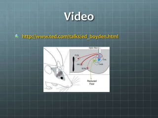 Video
http://www.ted.com/talks/ed_boyden.html
 