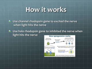 How it works
Use channel rhodopsin gene to excited the nerve
when light hits the nerve

Use halo rhodopsin gene to inhibited the nerve when
light hits the nerve
 