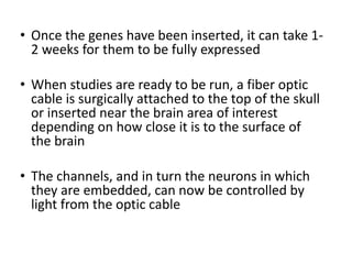 • Once the genes have been inserted, it can take 1-
2 weeks for them to be fully expressed
• When studies are ready to be run, a fiber optic
cable is surgically attached to the top of the skull
or inserted near the brain area of interest
depending on how close it is to the surface of
the brain
• The channels, and in turn the neurons in which
they are embedded, can now be controlled by
light from the optic cable
 