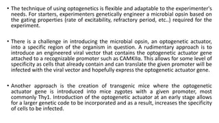 Optogenetics | PPTX
