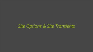 Site Options & Site Transients

 