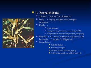 MATERI MEMBAHAS MASALAH OPT TANAMAN JAGUNG.ppt