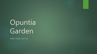 Opuntia
Garden
FIND YOUR CACTUS
 