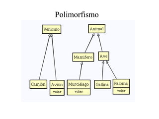 Polimorfismo