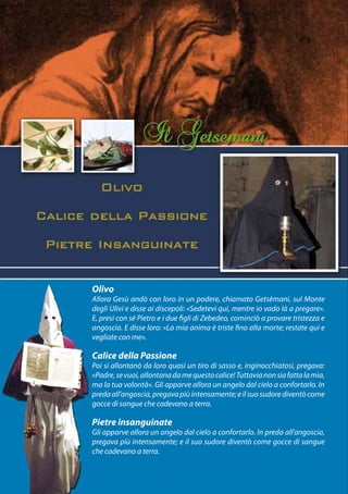 Olivo
Allora Gesù andò con loro in un podere, chiamato Getsèmani, sul Monte
degli Ulivi e disse ai discepoli: «Sedetevi qui, mentre io vado là a pregare».
E, presi con sé Pietro e i due figli di Zebedeo, cominciò a provare tristezza e
angoscia. E disse loro: «La mia anima è triste fino alla morte; restate qui e
vegliate con me».

Calice della Passione
Poi si allontanò da loro quasi un tiro di sasso e, inginocchiatosi, pregava:
«Padre, se vuoi, allontana da me questo calice! Tuttavia non sia fatta la mia,
ma la tua volontà». Gli apparve allora un angelo dal cielo a confortarlo. In
preda all’angoscia, pregava più intensamente; e il suo sudore diventò come
gocce di sangue che cadevano a terra.

Pietre insanguinate
Gli apparve allora un angelo dal cielo a confortarlo. In preda all’angoscia,
pregava più intensamente; e il suo sudore diventò come gocce di sangue
che cadevano a terra.
 