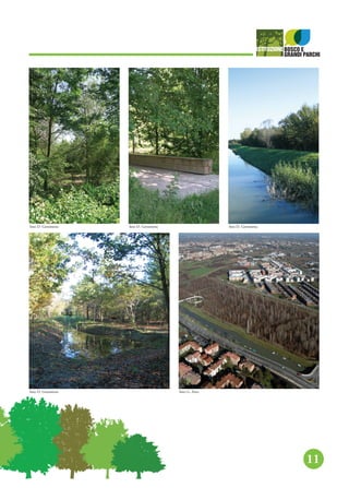 11
foto D. Gerometta foto D. Gerometta foto D. Gerometta
foto D. Gerometta foto G. Arici
 