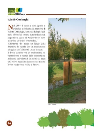 14
Adolfo Ottolenghi
Nel 2007 il bosco è stato aperto al
pubblico e dedicato alla memoria di
Adolfo Ottolenghi, uomo di dialogo e cul-
tura, rabbino di Venezia durante la Shoah,
deportato e ucciso ad Auschwitz nel 1944
assieme a tanti suoi concittadini.
All’interno del bosco un luogo della
Memoria lo ricorda con un monumento
disegnato dall’architetto Guido Zordan.
Il bosco diventa così un monumento vi-
vente rivolto al ricordo della catastrofe na-
zifascista, dal valore di un uomo di pace;
una nuova necessaria occasione di medita-
zione, in crescita e rivolta al futuro.
foto D. Gerometta
 
