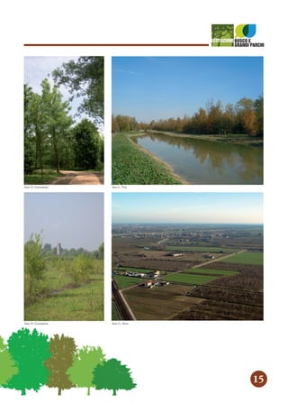 15
foto D. Gerometta foto L. Vita
foto D. Gerometta foto G. Arici
 