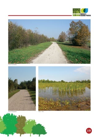 19
foto D. Gerometta
foto D. Gerometta foto L. Vita
 