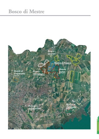 Bosco di Mestre
 