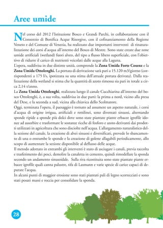 Aree umide
28
Nel corso del 2012 l’Istituzione Bosco e Grandi Parchi, in collaborazione con il
Consorzio di Bonifica Acque Risorgive, con il cofinanziamento della Regione
Veneto e del Comune di Venezia, ha realizzato due importanti interventi di rinatura-
lizzazione dei corsi d’acqua all’interno del Bosco di Mestre. Sono state create due zone
umide artificiali (wetland) fuori alveo, del tipo a flusso libero superficiale, con l’obiet-
tivo di ridurre il carico di nutrienti veicolati dalle acque alla Laguna.
L’opera, suddivisa in due distinte unità, comprende la Zona Umida Forte Cosenz e la
Zona Umida Ottolenghi. La portata di derivazione sarà pari a 15.120 m3/giorno (cor-
rispondenti a 175 l/s, ipotizzata su una stima dell’attuale portata derivata). Dalla rea-
lizzazione della wetland si stima che la quantità di azoto rimossa sia pari in totale a cir-
ca 2,14 t/anno.
La Zona Umida Ottolenghi, realizzata lungo il canale Cucchiarina all’interno del bo-
sco Ottolenghi, è, a sua volta, suddivisa in due parti: la prima a nord, vicino alla presa
del Dese, e la seconda a sud, vicina alla chiavica dello Scolmatore.
Oggi, terminata l’opera, il paesaggio è tornato ad assumere un aspetto naturale, i corsi
d’acqua di origine irrigua, artificiali e rettilinei, sono diventati sinuosi, alternando
sponde ripide a sponde più dolci dove sono state piantate piante erbacee igrofile ido-
nee ad assorbire e trasformare le sostanze ricche di fosforo e azoto derivanti dai prodot-
ti utilizzati in agricoltura che sono disciolte nell’acqua. L’allargamento naturalistico del-
la sezione del canale, la creazione di alvei sinuosi e diversificati, prevede lo sbancamen-
to di una o entrambe le sponde e la creazione di golene allagabili periodicamente, allo
scopo di aumentare la sezione disponibile al deflusso delle acque.
Il metodo adottato in entrambi gli interventi è stato di asciugare i canali, previa raccolta
e trasferimento dei pesci, demolire la canaletta in cemento, quindi rimodellare la sponda
secondo un andamento sinusoidale. Sulla riva ricostituita sono state piantate piante er-
bacee igrofile quali canna palustre, tifa di Laxmann e varie specie di carice capaci di de-
purare l’acqua.
In alcuni punti di maggior erosione sono stati piantati pali di legno scortecciati e sono
stati posati massi e roccia per consolidare la sponda.
 