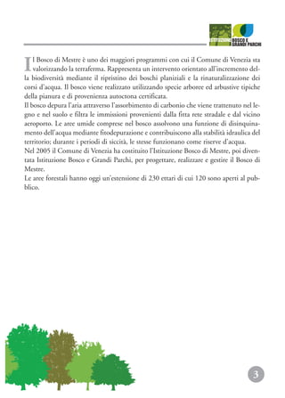 Il Bosco di Mestre è uno dei maggiori programmi con cui il Comune di Venezia sta
valorizzando la terraferma. Rappresenta un intervento orientato all’incremento del-
la biodiversità mediante il ripristino dei boschi planiziali e la rinaturalizzazione dei
corsi d’acqua. Il bosco viene realizzato utilizzando specie arboree ed arbustive tipiche
della pianura e di provenienza autoctona certificata.
Il bosco depura l’aria attraverso l’assorbimento di carbonio che viene trattenuto nel le-
gno e nel suolo e filtra le immissioni provenienti dalla fitta rete stradale e dal vicino
aeroporto. Le aree umide comprese nel bosco assolvono una funzione di disinquina-
mento dell’acqua mediante fitodepurazione e contribuiscono alla stabilità idraulica del
territorio; durante i periodi di siccità, le stesse funzionano come riserve d’acqua.
Nel 2005 il Comune di Venezia ha costituito l’Istituzione Bosco di Mestre, poi diven-
tata Istituzione Bosco e Grandi Parchi, per progettare, realizzare e gestire il Bosco di
Mestre.
Le aree forestali hanno oggi un’estensione di 230 ettari di cui 120 sono aperti al pub-
blico.
3
 