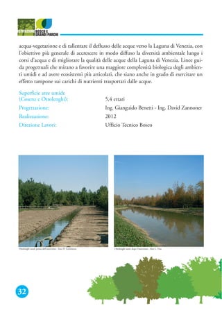 32
acqua-vegetazione e di rallentare il deflusso delle acque verso la Laguna di Venezia, con
l’obiettivo più generale di accrescere in modo diffuso la diversità ambientale lungo i
corsi d’acqua e di migliorare la qualità delle acque della Laguna di Venezia. Linee gui-
da progettuali che mirano a favorire una maggiore complessità biologica degli ambien-
ti umidi e ad avere ecosistemi più articolati, che siano anche in grado di esercitare un
effetto tampone sui carichi di nutrienti trasportati dalle acque.
Superficie aree umide
(Cosenz e Ottolenghi): 5,4 ettari
Progettazione: Ing. Gianguido Benetti - Ing. David Zannoner
Realizzazione: 2012
Direzione Lavori: Ufficio Tecnico Bosco
Ottolenghi nord: prima dell’intervento - foto D. Gerometta Ottolenghi nord: dopo l’intervento - foto L. Vita
 