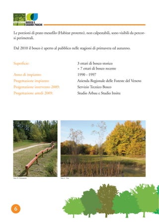 6
Le porzioni di prato mesofilo (Habitat protetto), non calpestabili, sono visibili da percor-
si perimetrali.
Dal 2010 il bosco è aperto al pubblico nelle stagioni di primavera ed autunno.
Superficie: 3 ettari di bosco storico
+ 7 ettari di bosco recente
Anno di impianto: 1990 - 1997
Progettazione impianto: Azienda Regionale delle Foreste del Veneto
Progettazione intervento 2009: Servizio Tecnico Bosco
Progettazione arredi 2009: Studio Arbau e Studio Insitu
foto D. Gerometta foto L. Vita
 