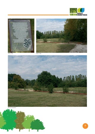 7
foto L. Vita foto L. Vita
foto D. Gerometta
 