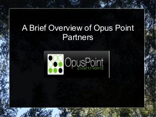 A Brief Overview of Opus Point
           Partners
 