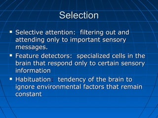Physiology of Special Senses and Perception | PPT