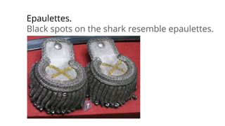 Epaulettes.
Black spots on the shark resemble epaulettes.
 