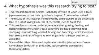 4. What hypothesis was this research trying to test?
● This research from the Animal Husbandry Division of Japan used 6 Black
Japanese cows to test their hypothesis inspired from another animal
● The results of this research if employed by cattle owners could potentially
lead to a lot of savings in terms of chemicals used to ‘treat’ this
● This problem associated with cattle reduce their grazing, feeding, and
bedding down time and increase behaviors like head throwing, foot
stamping, skin twitching, and tail ﬂicking) and bunching - which increases
heat stress and risk of injury as animals jostle for a better position to
avoid this
● Some of the other often used explanations to this ‘phenomenon’ were
camouﬂage, confusion of predators, signaling to its own species,
thermoregulation
Finals
 