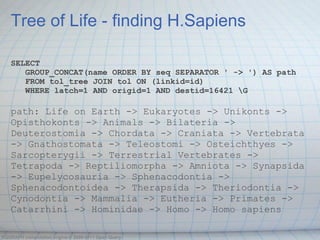 Tree of Life - finding H.Sapiens

   SELECT
      GROUP_CONCAT(name ORDER BY seq SEPARATOR ' -> ') AS path
      FROM tol_tree JOIN tol ON (linkid=id)
      WHERE latch=1 AND origid=1 AND destid=16421 G

   path: Life on Earth -> Eukaryotes -> Unikonts ->
   Opisthokonts -> Animals -> Bilateria ->
   Deuterostomia -> Chordata -> Craniata -> Vertebrata
   -> Gnathostomata -> Teleostomi -> Osteichthyes ->
   Sarcopterygii -> Terrestrial Vertebrates ->
   Tetrapoda -> Reptiliomorpha -> Amniota -> Synapsida
   -> Eupelycosauria -> Sphenacodontia ->
   Sphenacodontoidea -> Therapsida -> Theriodontia ->
   Cynodontia -> Mammalia -> Eutheria -> Primates ->
   Catarrhini -> Hominidae -> Homo -> Homo sapiens

OQGRAPH computation engine © 2009-2011 Open Query
 