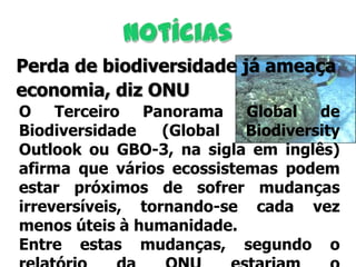 Perda de biodiversidade já ameaça
economia, diz ONU
O Terceiro Panorama Global de
Biodiversidade
(Global
Biodiversity
Outlook ou GBO-3, na sigla em inglês)
afirma que vários ecossistemas podem
estar próximos de sofrer mudanças
irreversíveis, tornando-se cada vez
menos úteis à humanidade.
Entre estas mudanças, segundo o

 