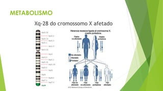 METABOLISMO
Xq-28 do cromossomo X afetado
 