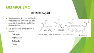 METABOLISMO
 Sofrem remoção , por oxidação
de sucessivas unidades de dois
átomos de carbonos na forma
de Acetil-CoA
 A ß oxidação é dividida em 4
reações :
Oxidação
Hidratação
Oxidação
Cisão
BETAOXIDAÇÃO :
 