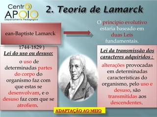 O principio evolutivo
                                        estaria baseado em
 ean-Baptiste Lamarck                        duas Leis
                                          fundamentais.
      1744-1829 )
                                        Lei da transmissão dos
Lei do uso ou desuso:
                                        caracteres adquiridos :
       o uso de
                                            alterações provocadas
 determinadas partes
                                               em determinadas
     do corpo do
                                               características do
  organismo faz com
                                            organismo, pelo uso e
     que estas se
                                                  desuso, são
   desenvolvam, e o
                                               transmitidas aos
desuso faz com que se
                                                descendentes.
      atrofiem.
                        ADAPTAÇÃO AO MEIO
 