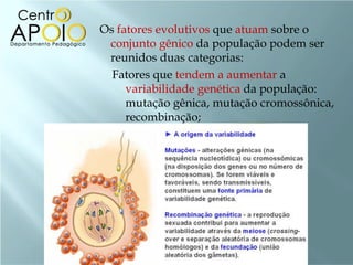 Os fatores evolutivos que atuam sobre o
 conjunto gênico da população podem ser
 reunidos duas categorias:
  Fatores que tendem a aumentar a
     variabilidade genética da população:
     mutação gênica, mutação cromossônica,
     recombinação;
 