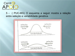 5 - ( PUC-MG) O esquema a seguir mostra a relação
entre seleção e variabilidade genética.
 
