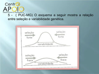 5 - ( PUC-MG) O esquema a seguir mostra a relação
entre seleção e variabilidade genética.
 