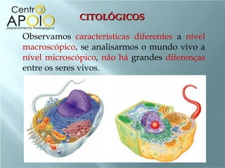 CITOLÓGICOS

Observamos características diferentes a nível
macroscópico, se analisarmos o mundo vivo a
nível microscópico, não há grandes diferenças
entre os seres vivos.
 