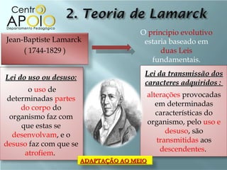 O principio evolutivo
Jean-Baptiste Lamarck                   estaria baseado em
     ( 1744-1829 )                           duas Leis
                                          fundamentais.
                                        Lei da transmissão dos
Lei do uso ou desuso:
                                        caracteres adquiridos :
       o uso de
                                            alterações provocadas
 determinadas partes
                                               em determinadas
     do corpo do
                                               características do
  organismo faz com
                                            organismo, pelo uso e
     que estas se
                                                  desuso, são
   desenvolvam, e o
                                               transmitidas aos
desuso faz com que se
                                                descendentes.
      atrofiem.
                        ADAPTAÇÃO AO MEIO
 