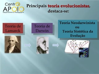 Principais teoria evolucionistas,
                        destaca-se:

                             Teoria Neodarwinista
                              Teoria Neodarwinista
Teoria de
 Teoria de      Teoria de
                 Teoria de             ou
                                        ou
Lamarck
 Lamarck         Darwin
                  Darwin       Teoria Sintética da
                                Teoria Sintética da
                                   Evolução
                                    Evolução
 