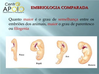 EMBRIOLOGIA COMPARADA


Quanto maior é o grau de semelhança entre os
embriões dos animais, maior o grau de parentesco
ou filogenia
 