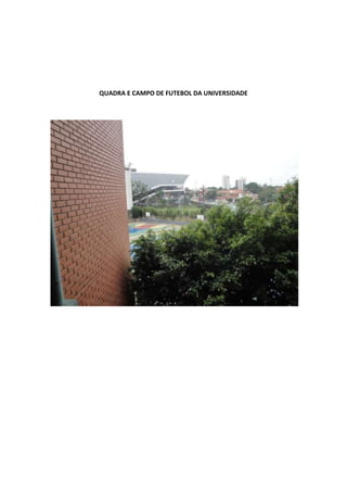 O que a globo não mostrou