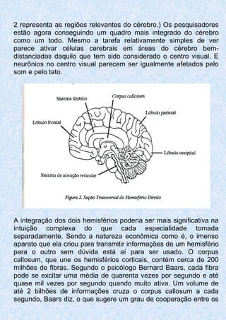 2 representa as regiões relevantes do cérebro.) Os pesquisadores
estão agora conseguindo um quadro mais integrado do cérebro
como um todo. Mesmo a tarefa relativamente simples de ver
parece ativar células cerebrais em áreas do cérebro bem-
distanciadas daquilo que tem sido considerado o centro visual. E
neurônios no centro visual parecem ser igualmente afetados pelo
som e pelo tato.
A integração dos dois hemisférios poderia ser mais significativa na
intuição complexa do que cada especialidade tomada
separadamente. Sendo a natureza econômica como é, o imenso
aparato que ela criou para transmitir informações de um hemisfério
para o outro sem dúvida está aí para ser usado. O corpus
callosum, que une os hemisférios corticais, contém cerca de 200
milhões de fibras. Segundo o psicólogo Bernard Baars, cada fibra
pode se excitar uma média de quarenta vezes por segundo e até
quase mil vezes por segundo quando muito ativa. Um volume de
até 2 bilhões de informações cruza o corpus callosum a cada
segundo, Baars diz, o que sugere um grau de cooperação entre os
 
