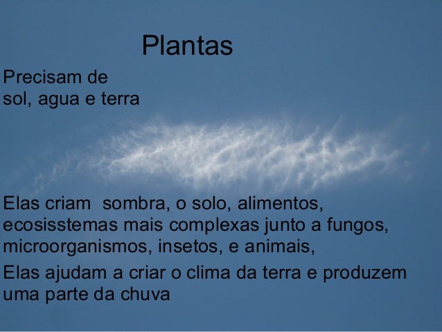 1
As PlantasPlantas
Precisam de
sol, agua e terra
Elas criam sombra, o solo, alimentos,
ecosisstemas mais complexas junto ...