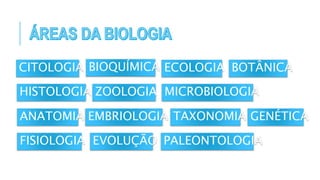 CITOLOGIA
HISTOLOGIA
ANATOMIA
BIOQUÍMICA
ZOOLOGIA
EMBRIOLOGIA
ECOLOGIA BOTÂNICA
MICROBIOLOGIA
FISIOLOGIA
TAXONOMIA GENÉTICA
EVOLUÇÃO PALEONTOLOGIA
 