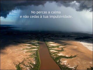No percas a calma
e não cedas à tua impulsividade.
 