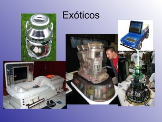 Exóticos 
