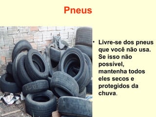 Pneus
• Livre-se dos pneus
que você não usa.
Se isso não
possível,
mantenha todos
eles secos e
protegidos da
chuva.
 