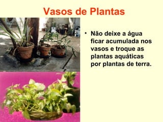Vasos de Plantas
• Não deixe a água
ficar acumulada nos
vasos e troque as
plantas aquáticas
por plantas de terra.
 