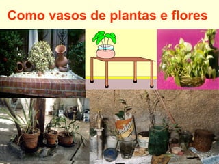 Como vasos de plantas e flores
 