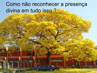 Como não reconhecer a presença
divina em tudo isso ?
 